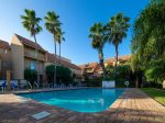 Community pool surrounded by palms. Enjoy your afternoon lounging or tanning on the tanning ledge of this beautiful pool